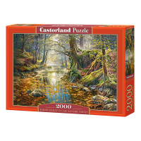 Пазл Castorland Ліс восени 2000 ел.